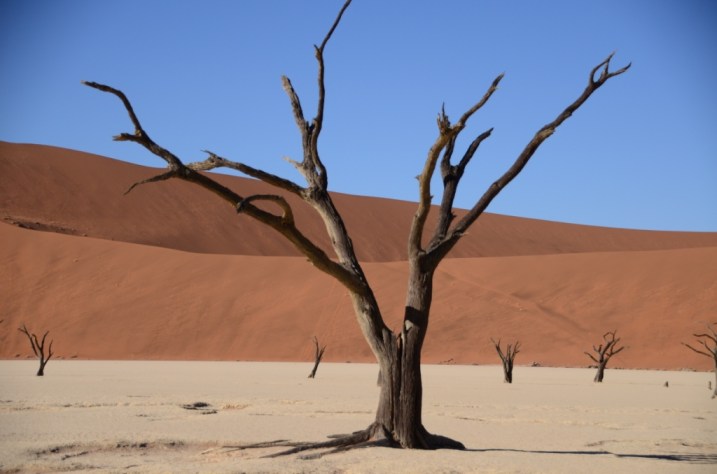 The Hiddenvlei amongst the dunes