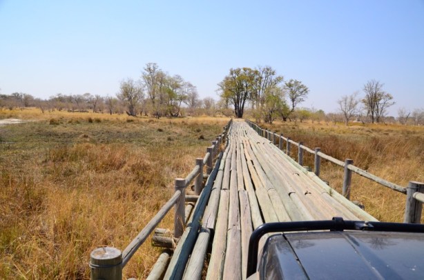 Log bridges in Moremi