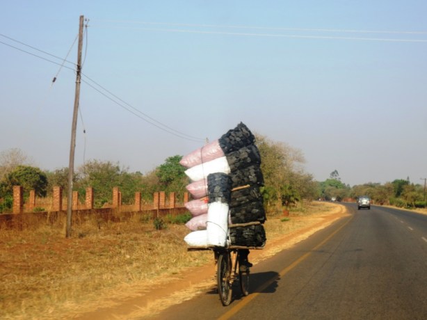 How many bags of coal can you carry on your bike?