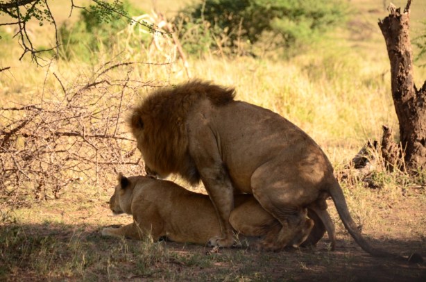 Getting down to it..again and again and again!