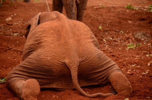 Playing is exhausting