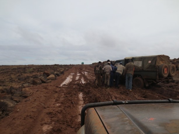 Plenty of people stuck along the way - everyone helping each other